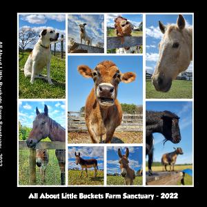 All About 2022 Photo Book - Little Buckets Gang