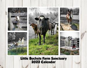 2022 12 Month Wall Calendar - Little Buckets