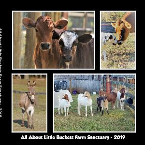 All About Photo Book - 2019 LBFS
