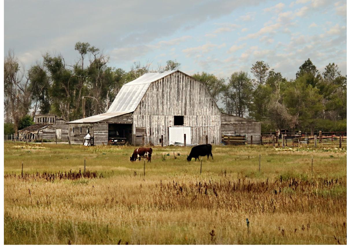 Spring Box Butte County
