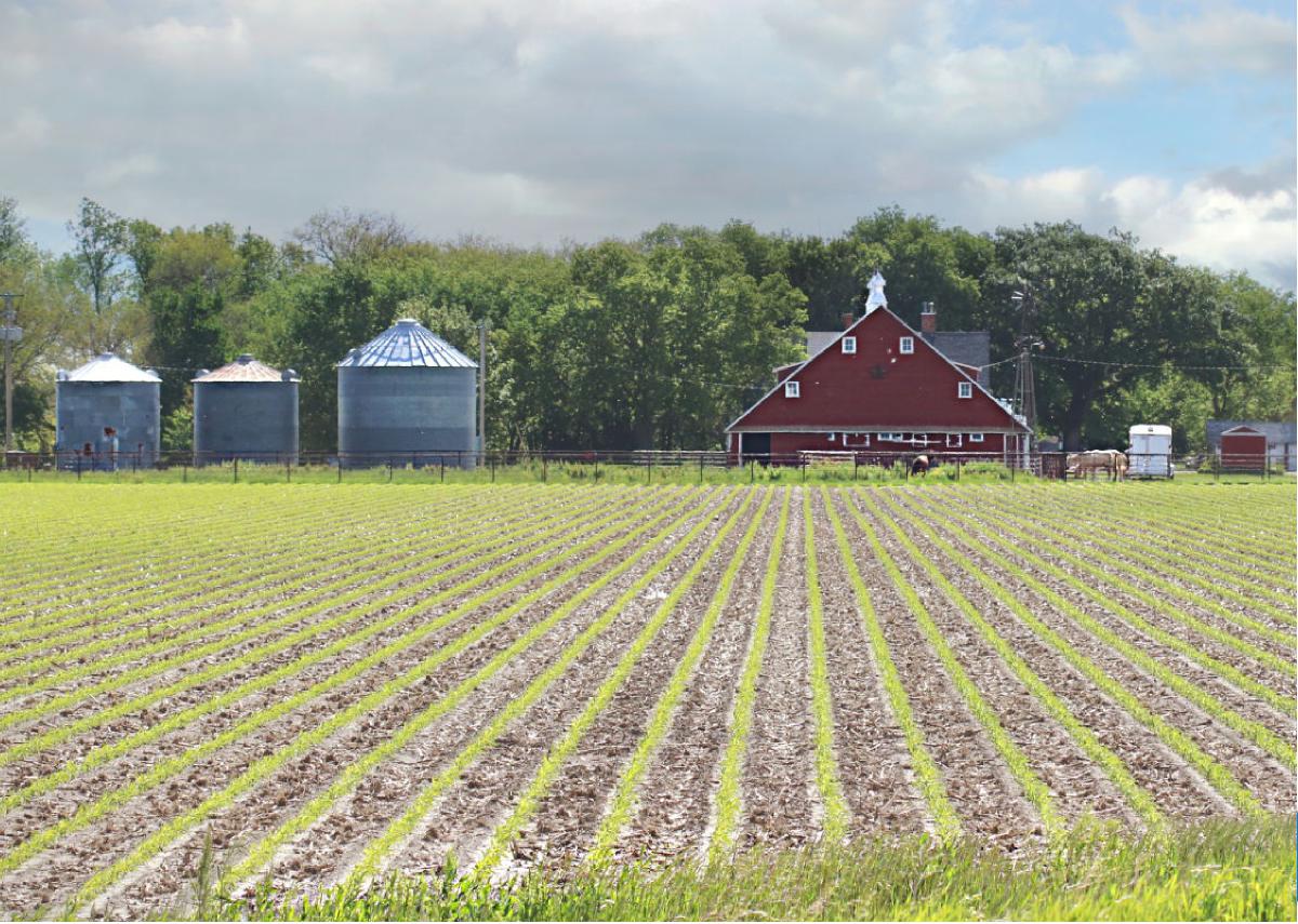 2023 matches all barn calendar