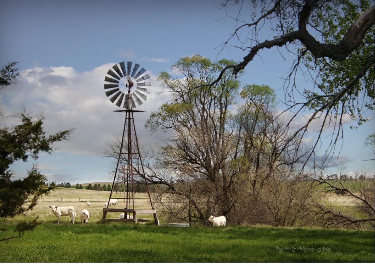 2023 matches This is Nebraska Calendar May