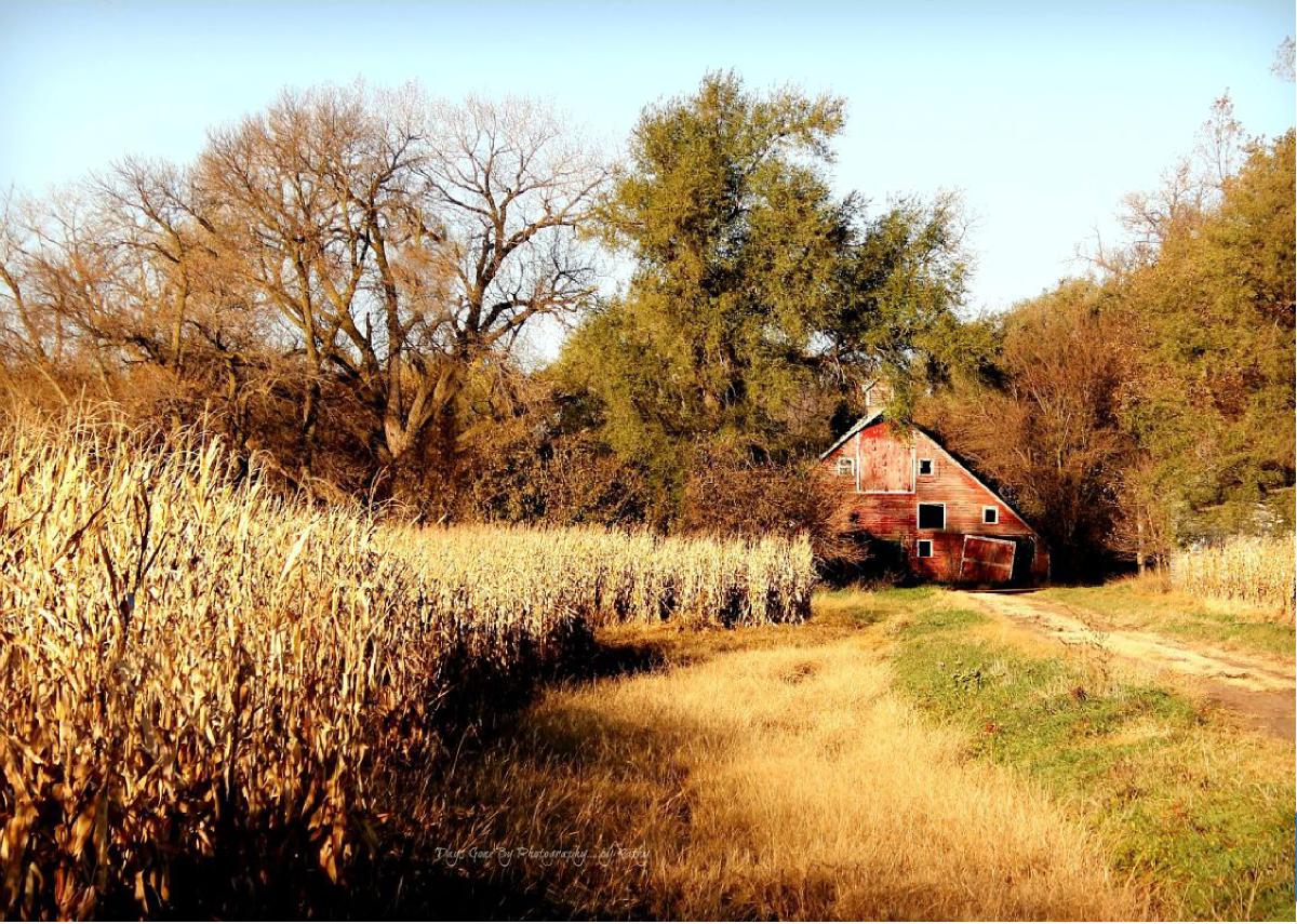 Fall Hall County