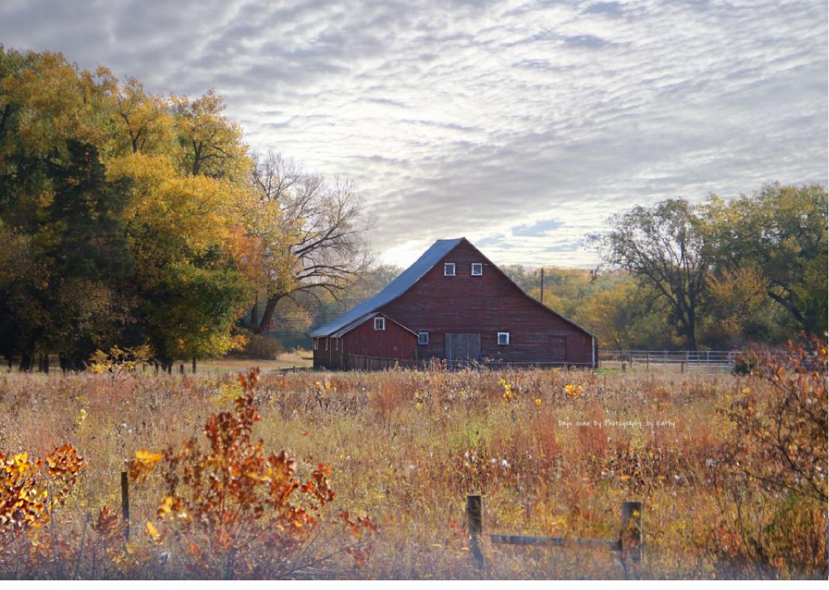 Fall Platte County