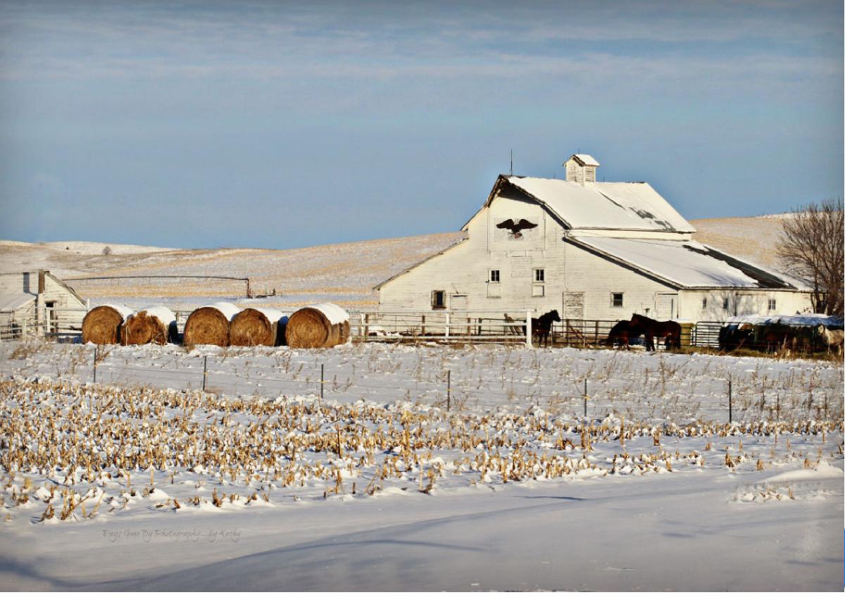 2024 Custer County Notecard