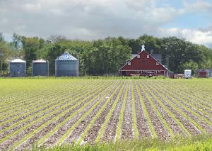 2023 matches all barn calendar