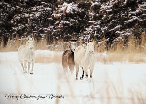 2022 Nebraska Christmas Card Howard County