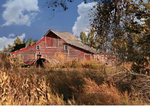 2022 matches all barn calendar Sept