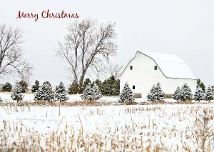 2024 Nebraska Christmas Card Adams County