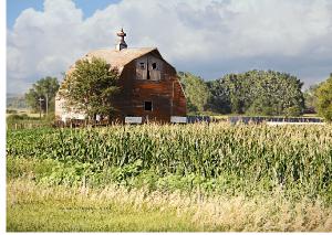 Summer Sherman County