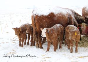 2022 Nebraska Christmas Card Dodge County