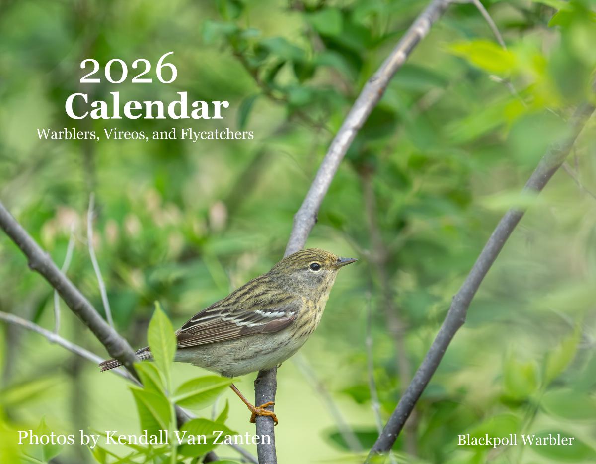 2026 Bird Calendar