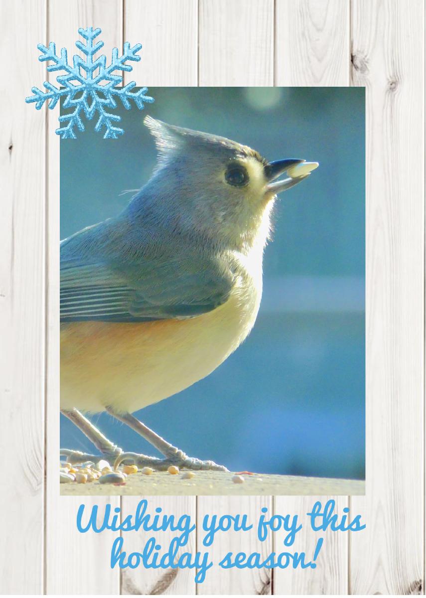 Holiday card - Titmouse