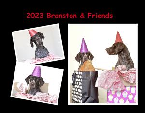 2023 Branston and Twiglet calendar