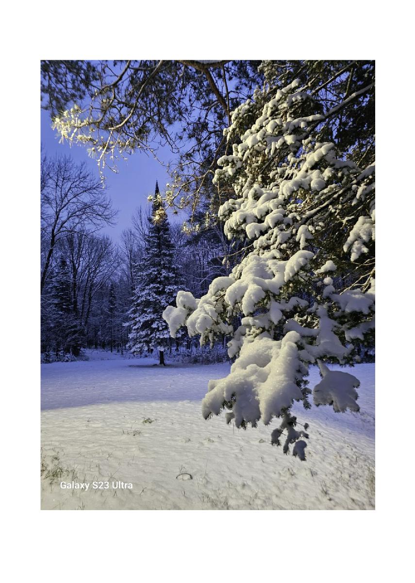 Christmas in the Northwoods