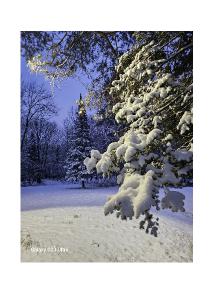 Christmas in the Northwoods