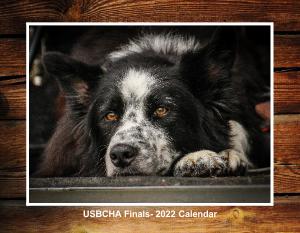 USBCHA 2022 Fundraiser Calendar