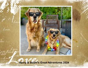 Henry & Bodhi's Calendar 2024