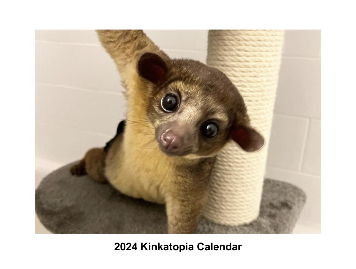 Kinkatopia 2024 Calendar
