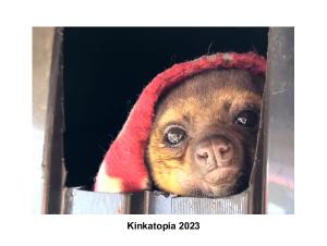 Kinkatopia 2023 Calendar