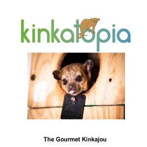The Gourmet Kinkajou Recipe Book