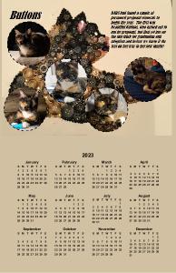 kittenacademy