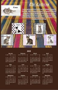 kittenacademy