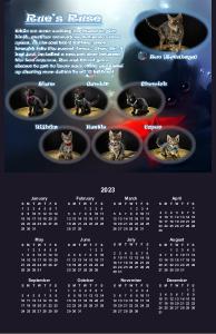 kittenacademy
