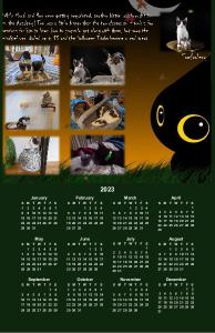 kittenacademy