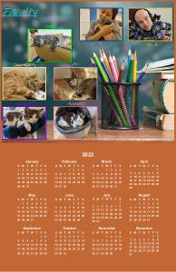 kittenacademy