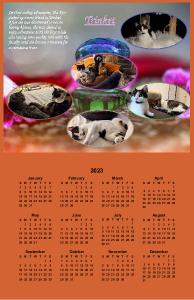 kittenacademy