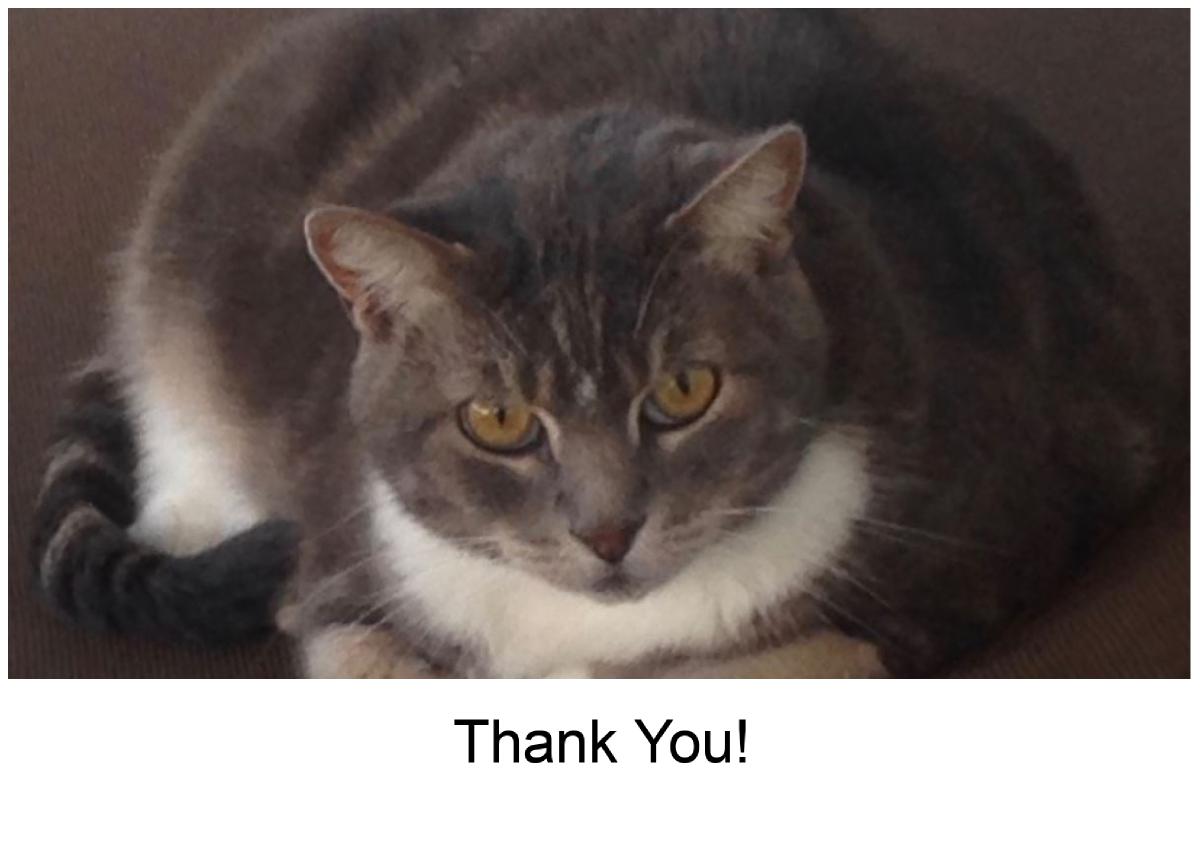 Tipper Thank You Card