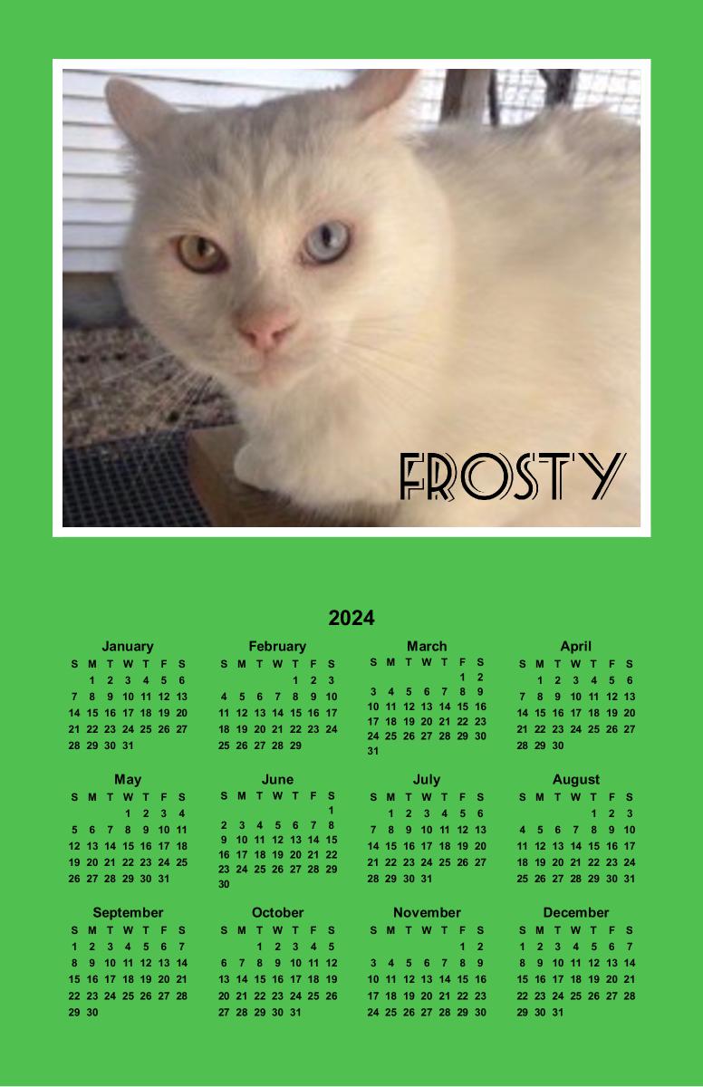 FROSTY Poster Calendar