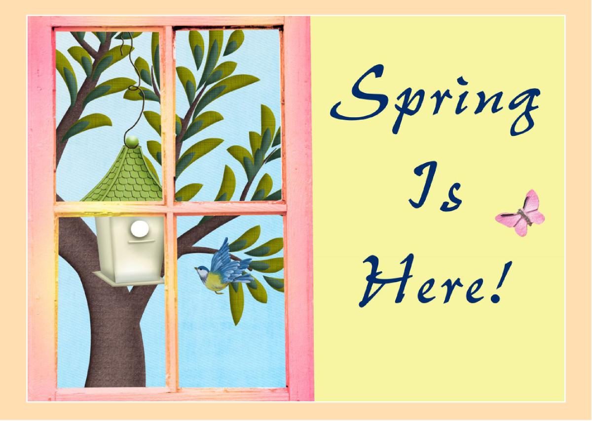 Spring Greeting Card