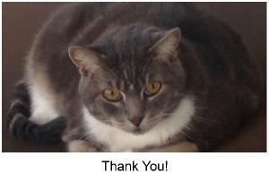 Tipper Thank You Card