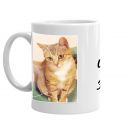 We Are Not Broken Kitty Mug