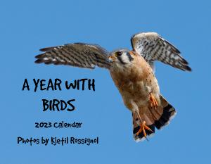 A Year With Birds - 2023 Photo Calendar