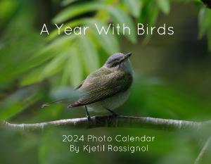 A Year With Birds 2024 Photo Calendar