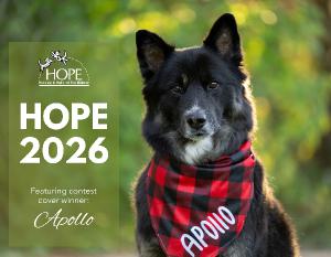HOPE 2026