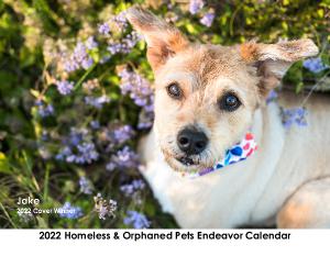 2022 HOPE Pet Calendar