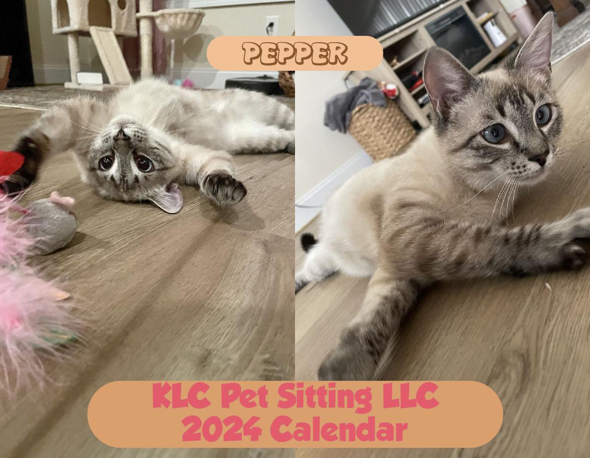 KLC Pet Sitting- 2024 Calendar