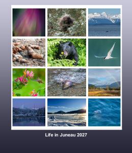 Life in Juneau 2027