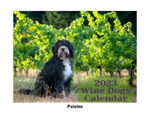 2023 Wine Dogs Calendar