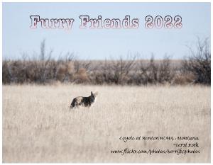 Furry Friends 2022