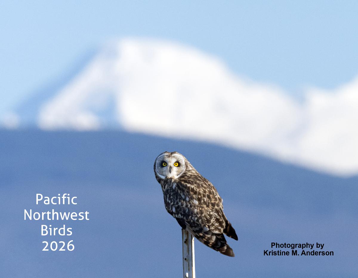 Pacific Northwest Birds 2026
