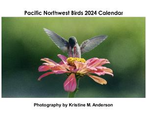 Pacific Northwest Birds 2024