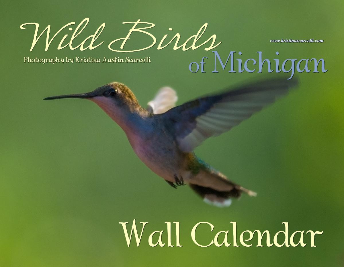Michigan Wild Birds Calendar