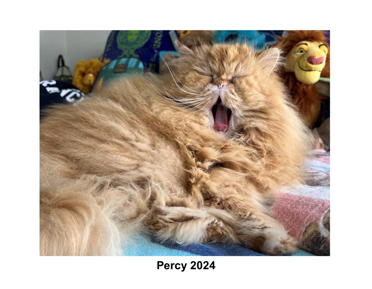 2024 Percy Calendar