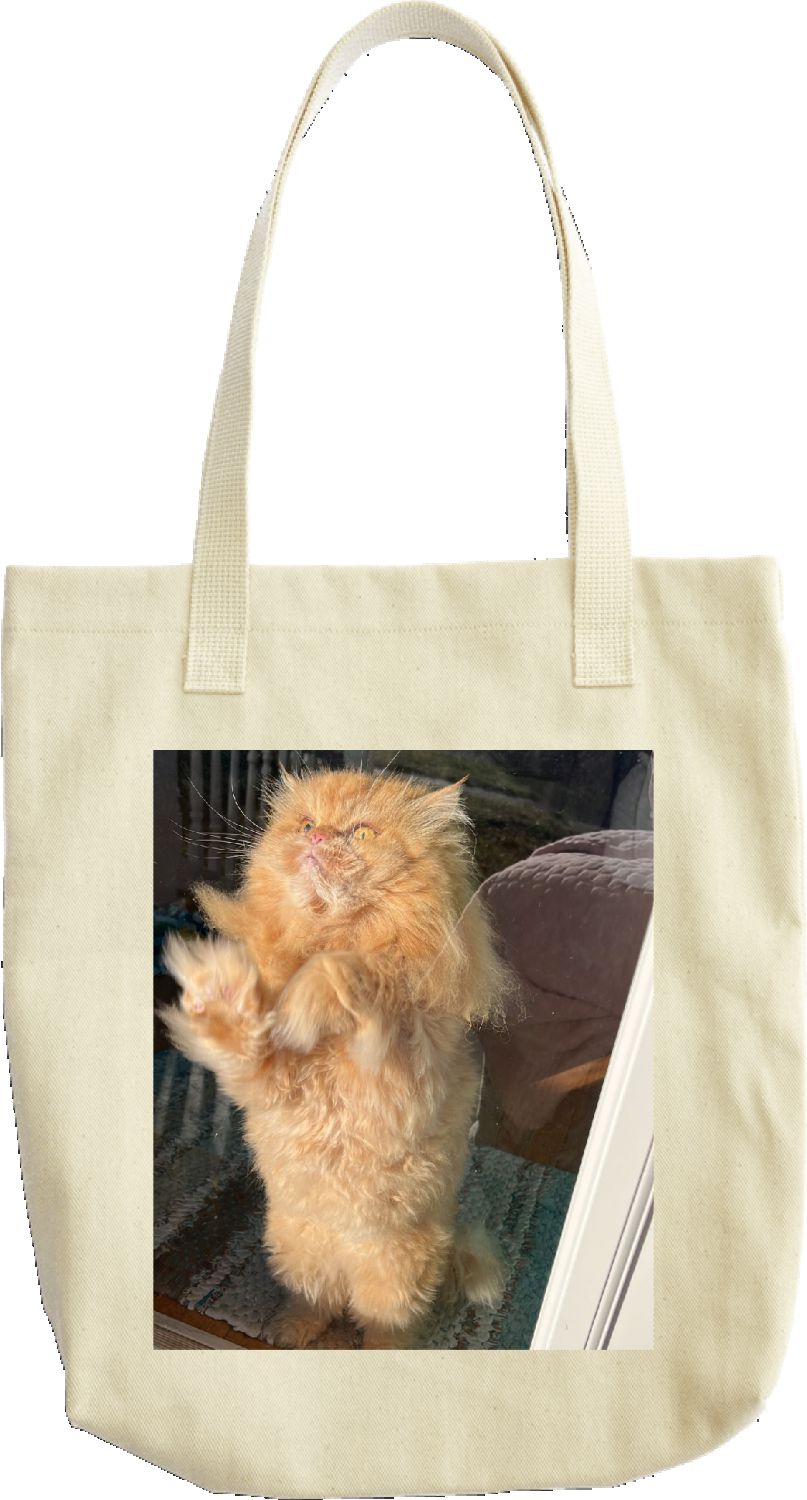 Percy Eclipse tote