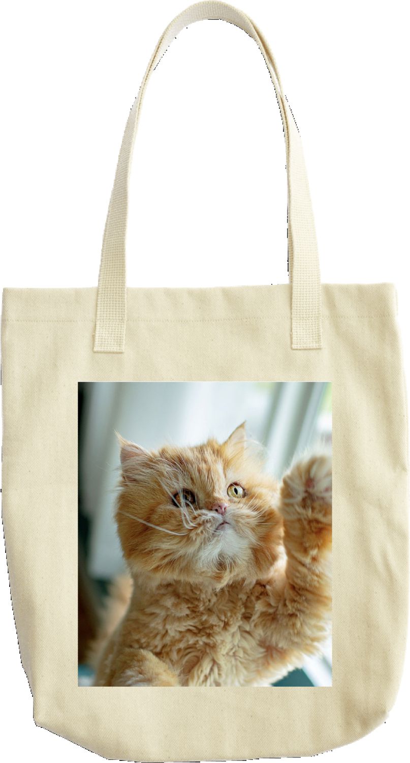 High-five Percy tote